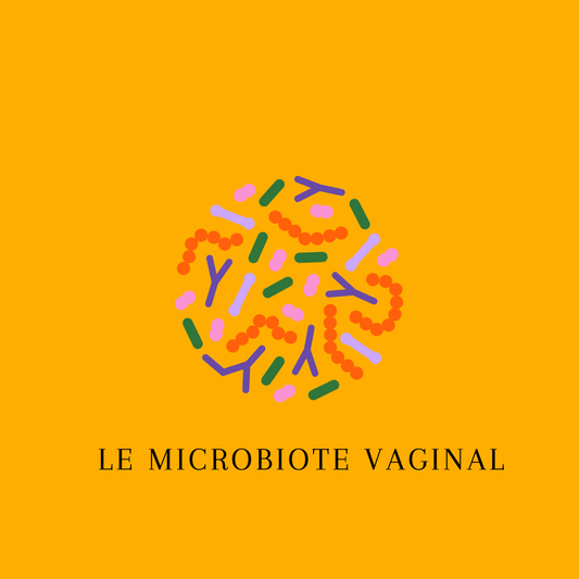 Le microbiote vaginal