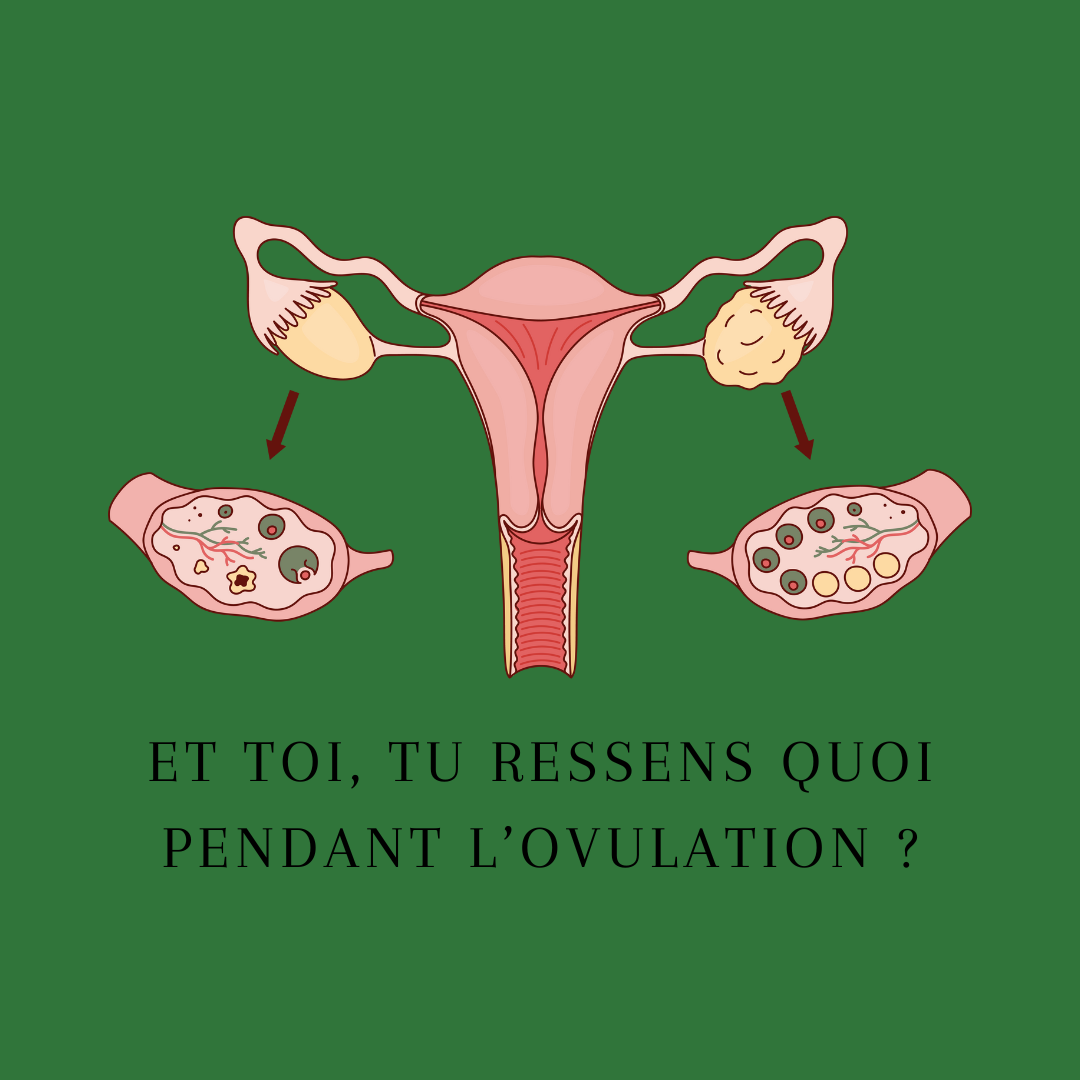 Et toi, tu ressens quoi pendant l’ovulation ?