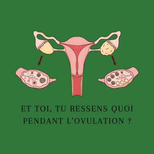 Et toi, tu ressens quoi pendant l’ovulation ?
