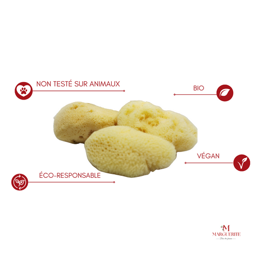 Éponges Menstruelles d'ANAE - Protection Naturelle et Zéro Déchet